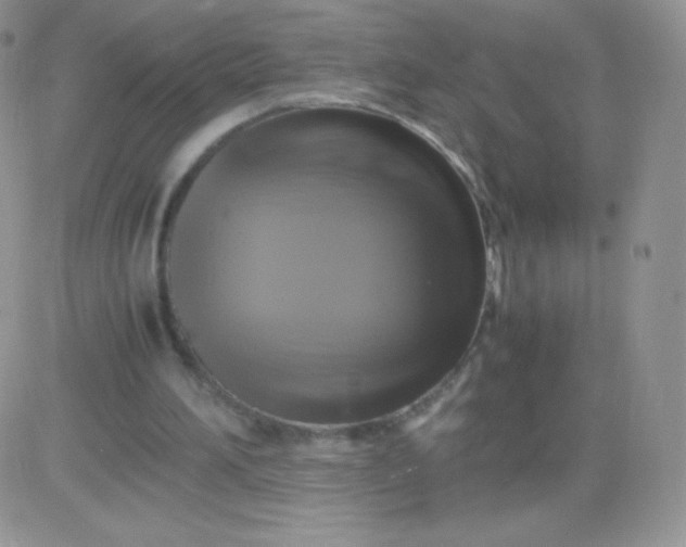 X0000081390196200701252113