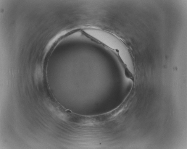 X0000081390200200701252113