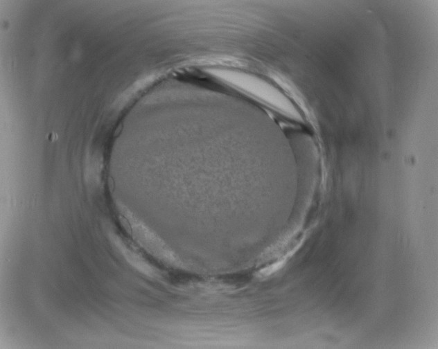 X0000081390201200701252113