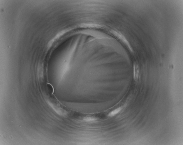 X0000081390204200701252113