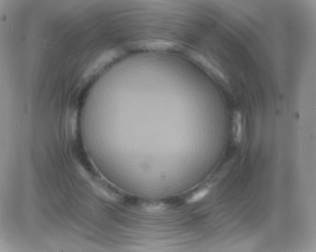 X0000081390206200701252113