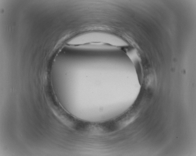 X0000081390207200701252113