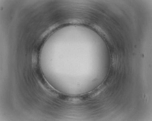 X0000081390208200701252113