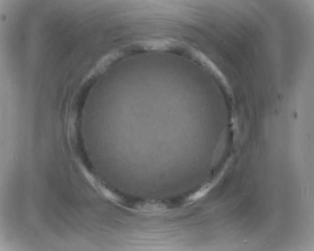 X0000081390209200701252112