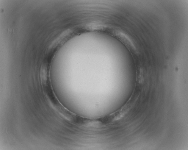 X0000081390210200701252112