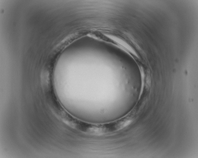 X0000081390211200701252112