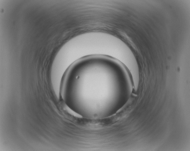 X0000081390213200701252112