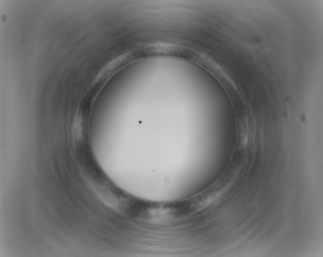 X0000081390216200701252112