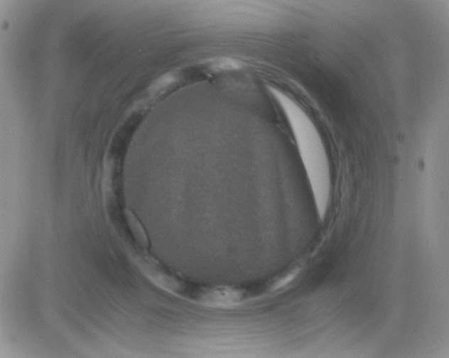 X0000081390217200701252112