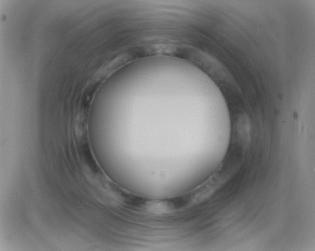 X0000081390218200701252112