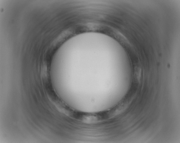 X0000081390220200701252112