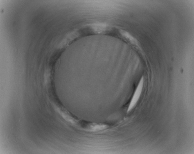 X0000081390221200701252112