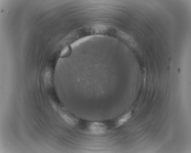 X0000081390222200701252112