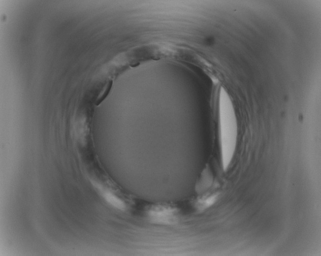 X0000081390223200701252112