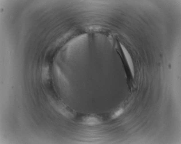 X0000081390224200701252112