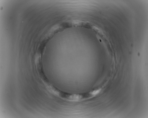 X0000081390225200701252112