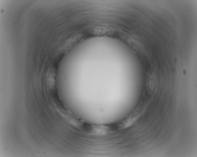 X0000081390226200701252112