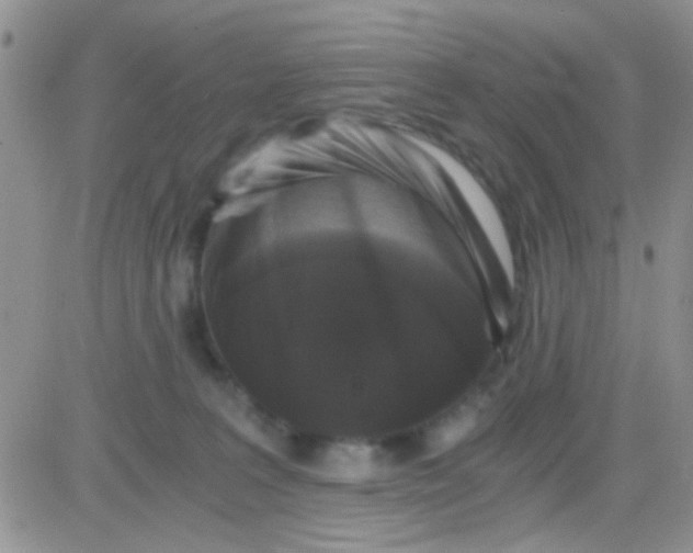 X0000081390227200701252112