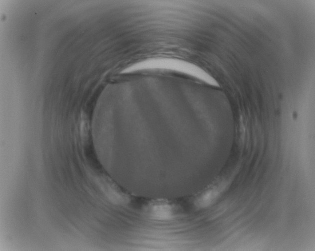 X0000081390228200701252112