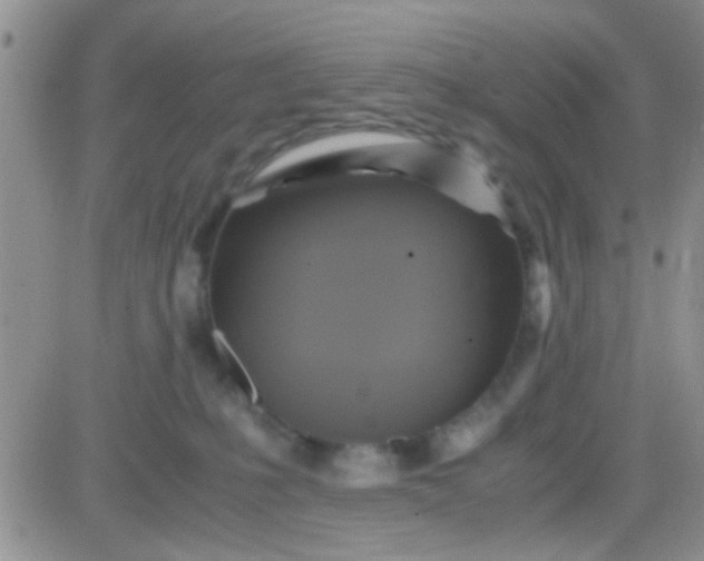 X0000081390231200701252112