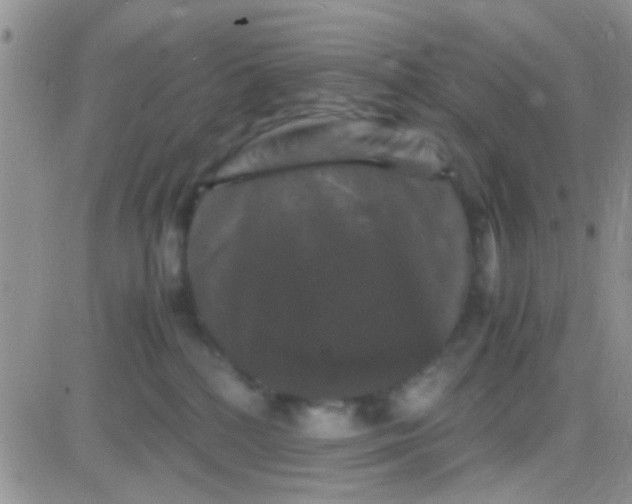 X0000081390232200701252112