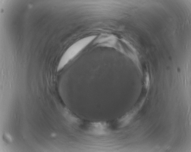 X0000081390233200701252112