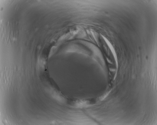 X0000081390235200701252112