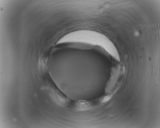 X0000081390239200701252112