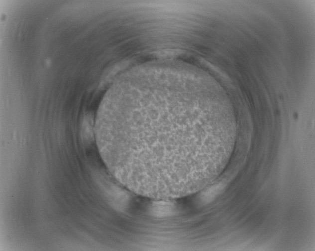 X0000081390240200701252112