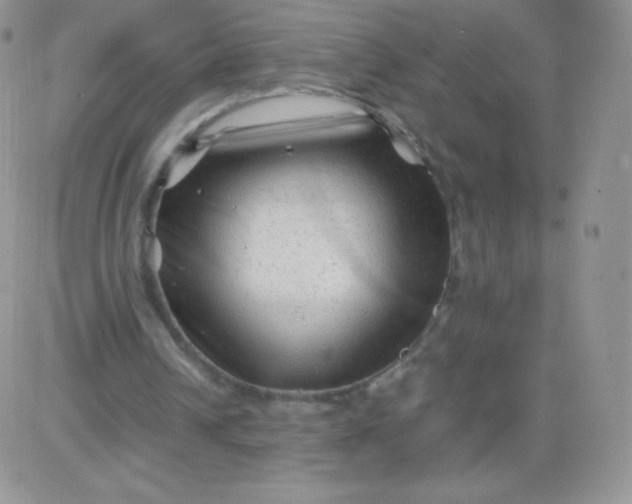 X0000081390242200701252111