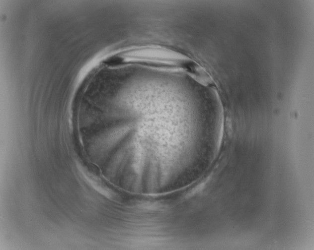 X0000081390246200701252111