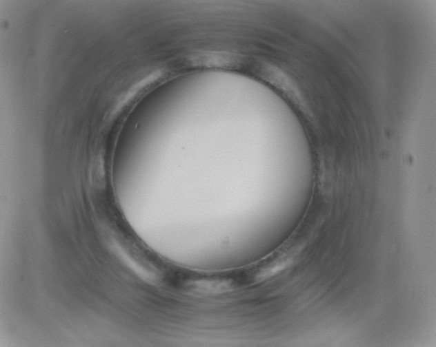 X0000081390251200701252111