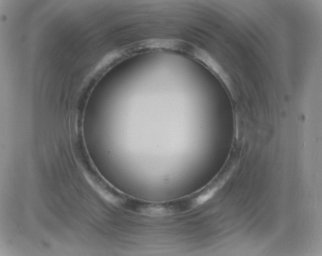 X0000081390253200701252111