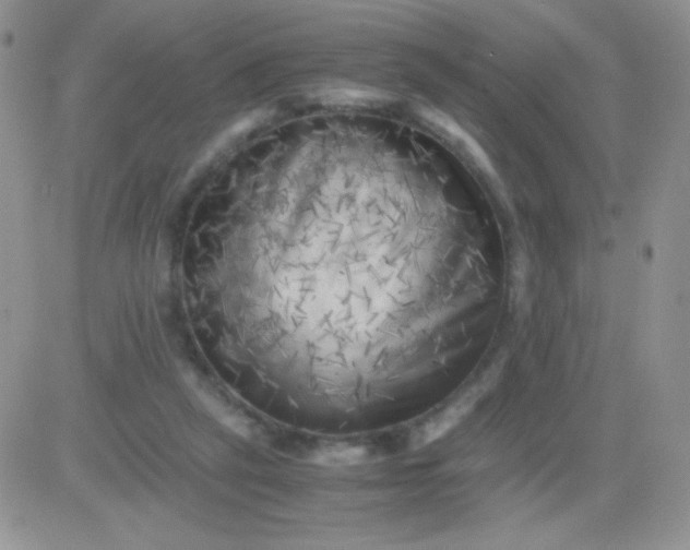 X0000081390257200701252111