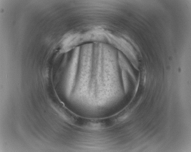 X0000081390260200701252111