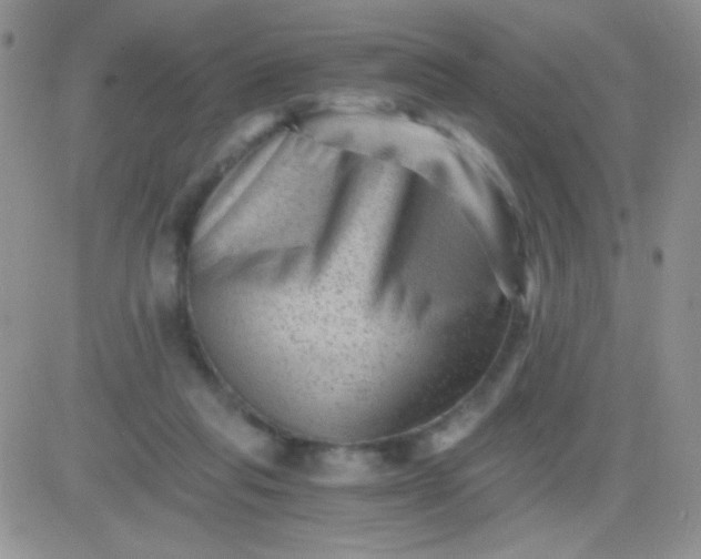 X0000081390261200701252111