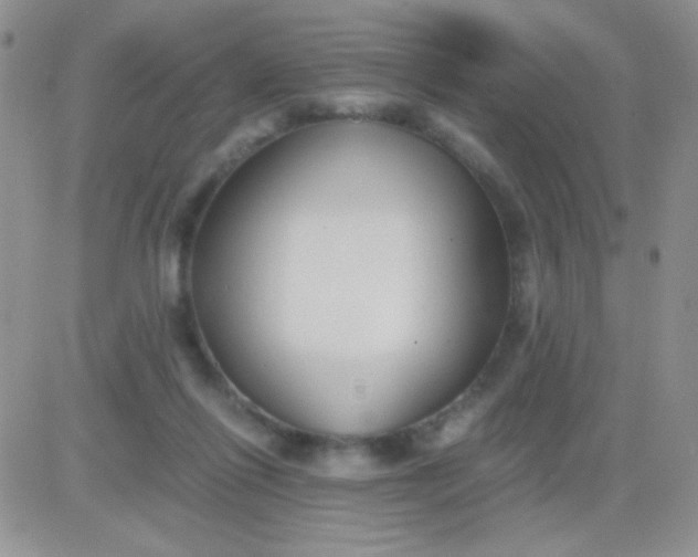 X0000081390262200701252111