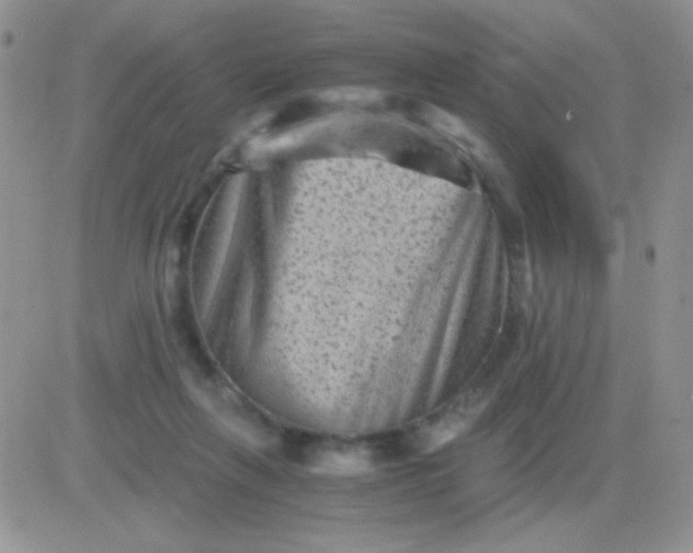 X0000081390263200701252111