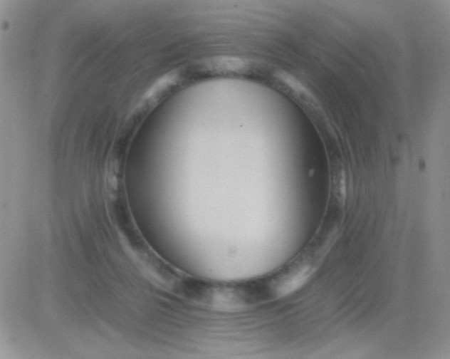 X0000081390264200701252111