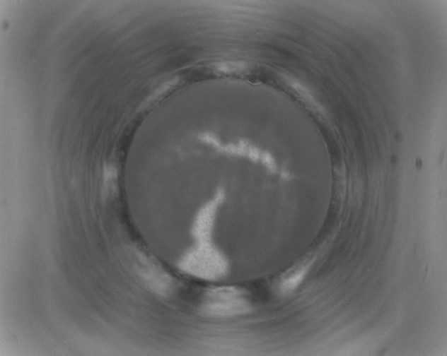 X0000081390269200701252112