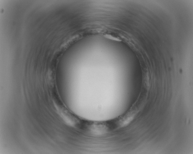 X0000081390270200701252112