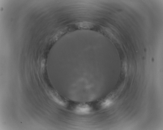 X0000081390271200701252112