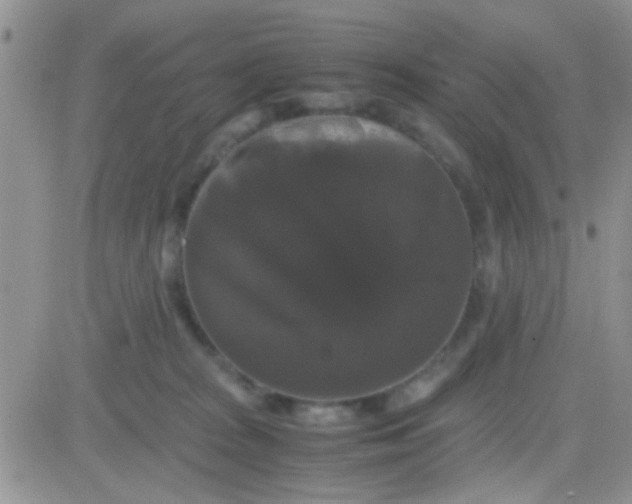 X0000081390277200701252112