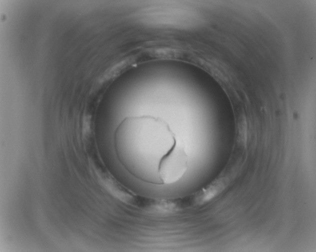 X0000081390278200701252112