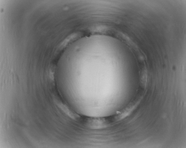 X0000081390282200701252112