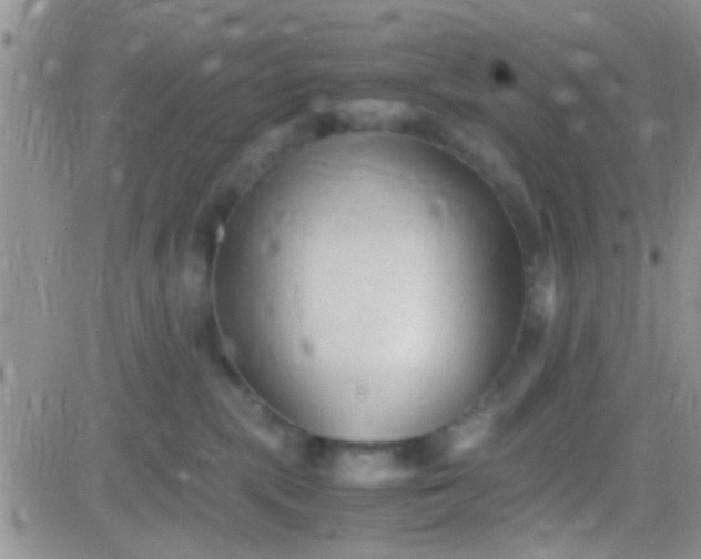 X0000081390283200701252112