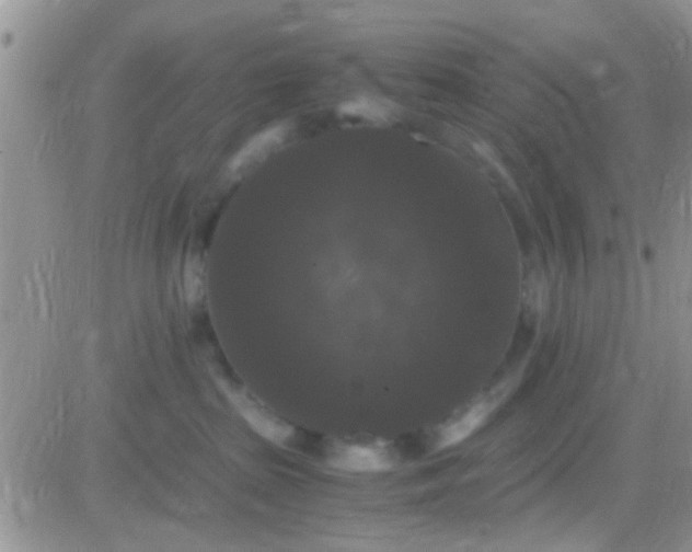 X0000081390285200701252112