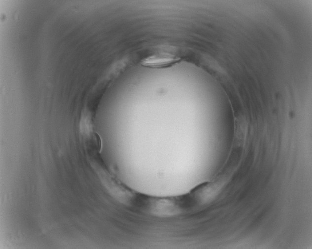 X0000081390287200701252112