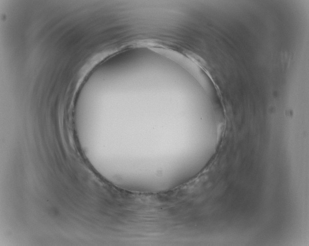 X0000081390289200701252111