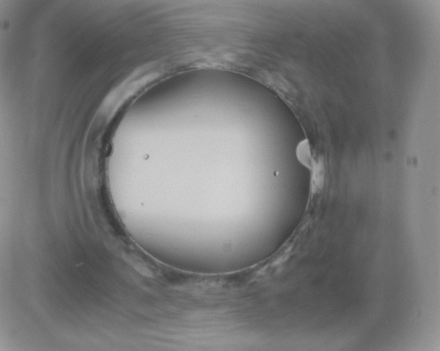 X0000081390291200701252111